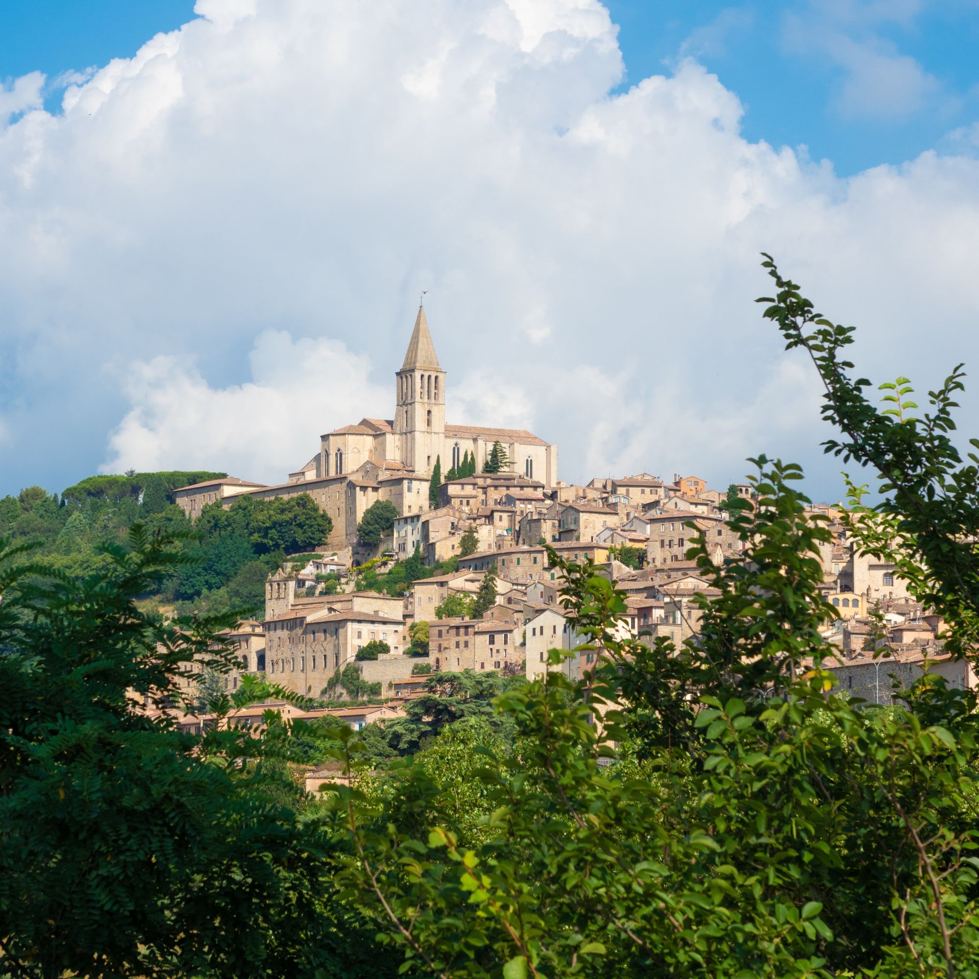 Todi